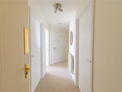 Picture 11